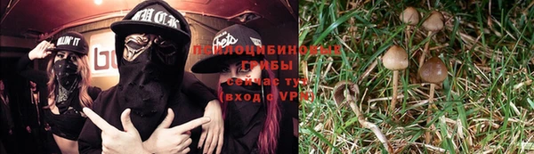 синтетический гашиш Балахна