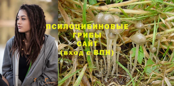 мет Вяземский