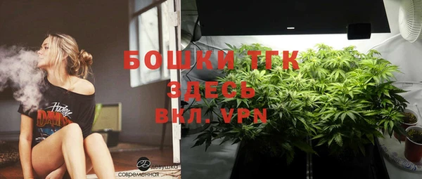 сатива Белоозёрский