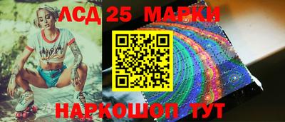 гидропоника Донской