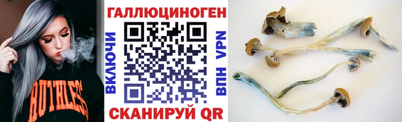 Галлюциногенные грибы прущие грибы где продают наркотики Соль-Илецк