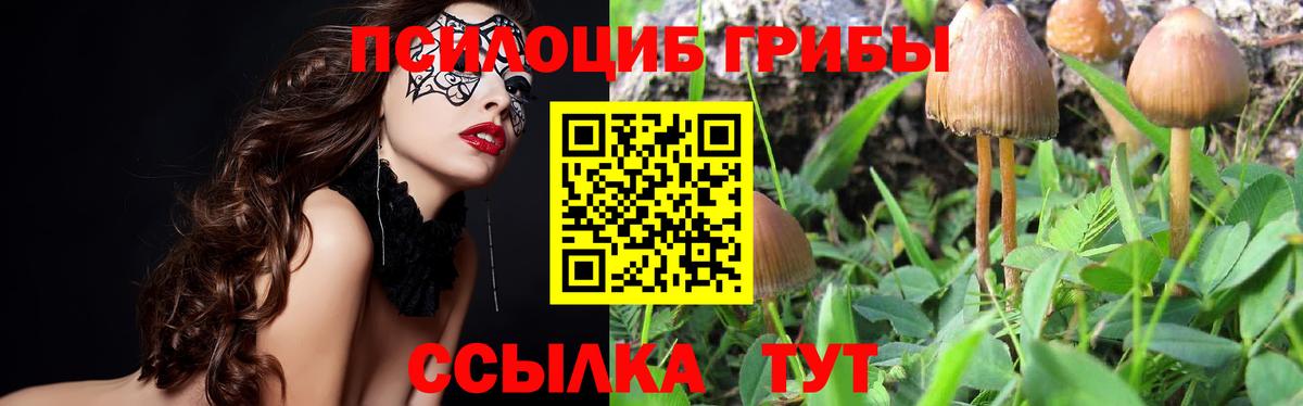 Галлюциногенные грибы мицелий Соль-Илецк